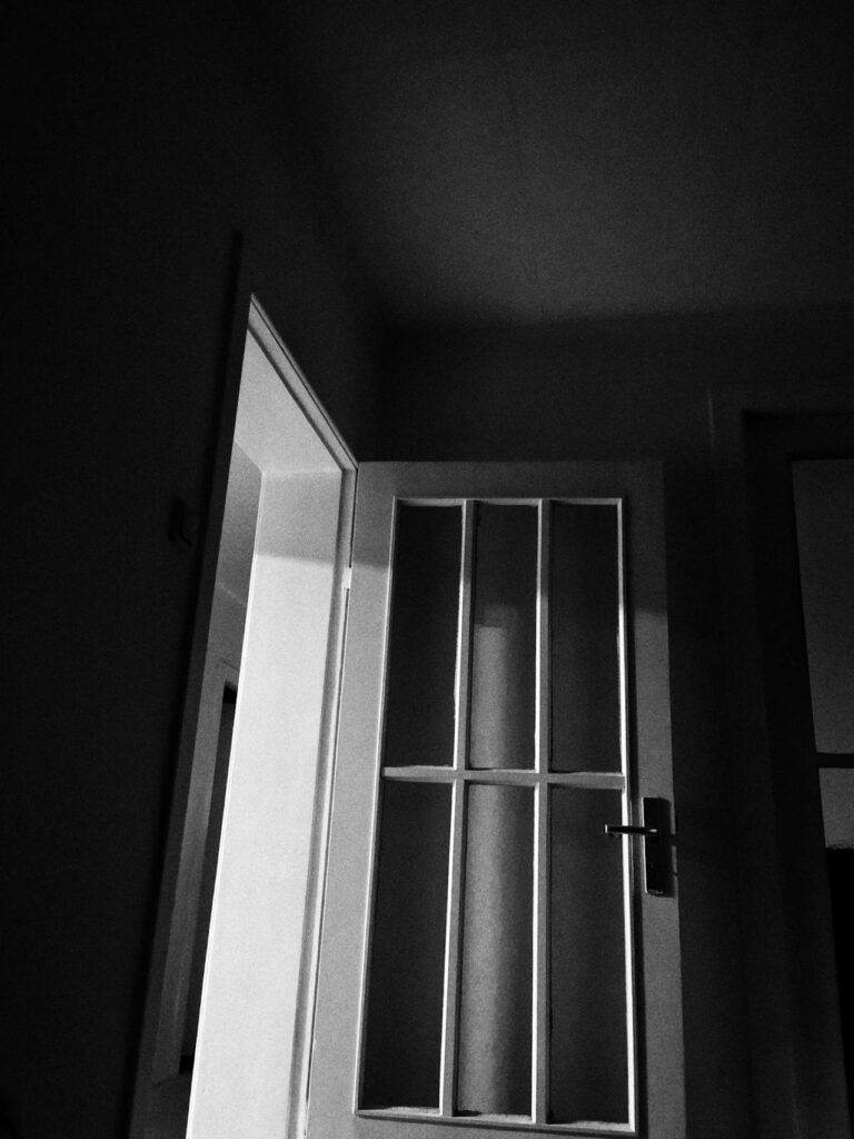 Zo kies je de beste hordeur voor jouw huis