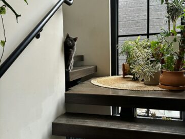 Van kale trap naar veilige blikvanger: trapmatten installeren doe je zo