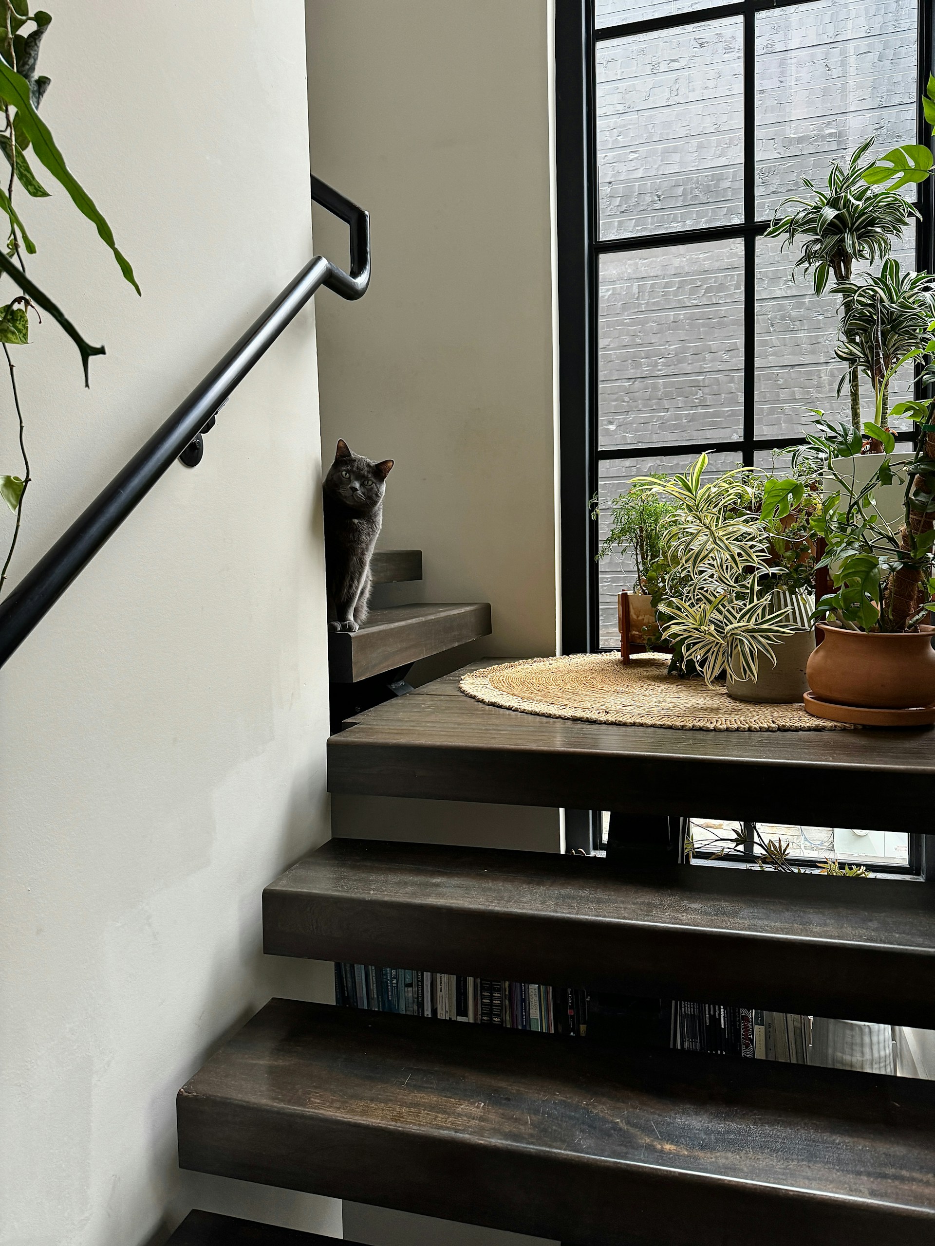 Van kale trap naar veilige blikvanger: trapmatten installeren doe je zo