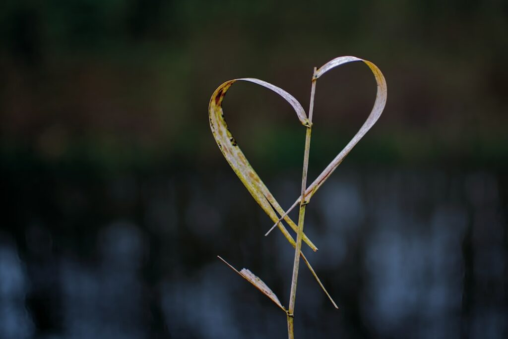Het liefdesleven van Bas Westerweel: van bekende relaties tot nu