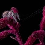 Peter Houtman geniet van het opa-zijn dankzij zijn dochter