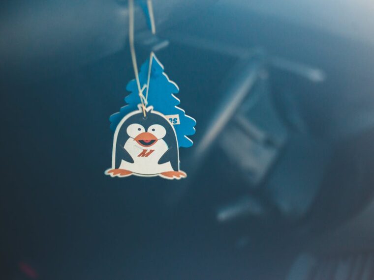 Laat je huis altijd fris ruiken met de juiste luchtverfrisser