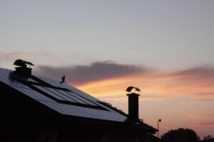 Thuisbatterijen voor duurzaam wonen
